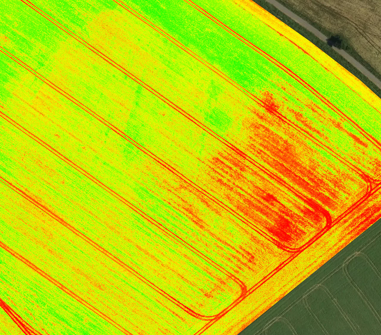 Vegetační mapa NDVI ukazující kondici a vitalitu porostu