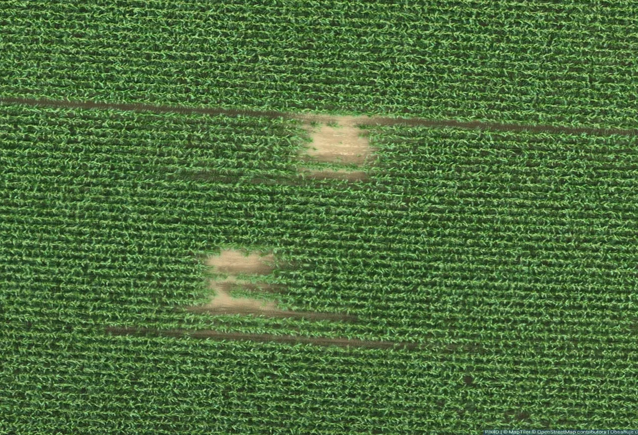 Ortofoto pozemku z dronu